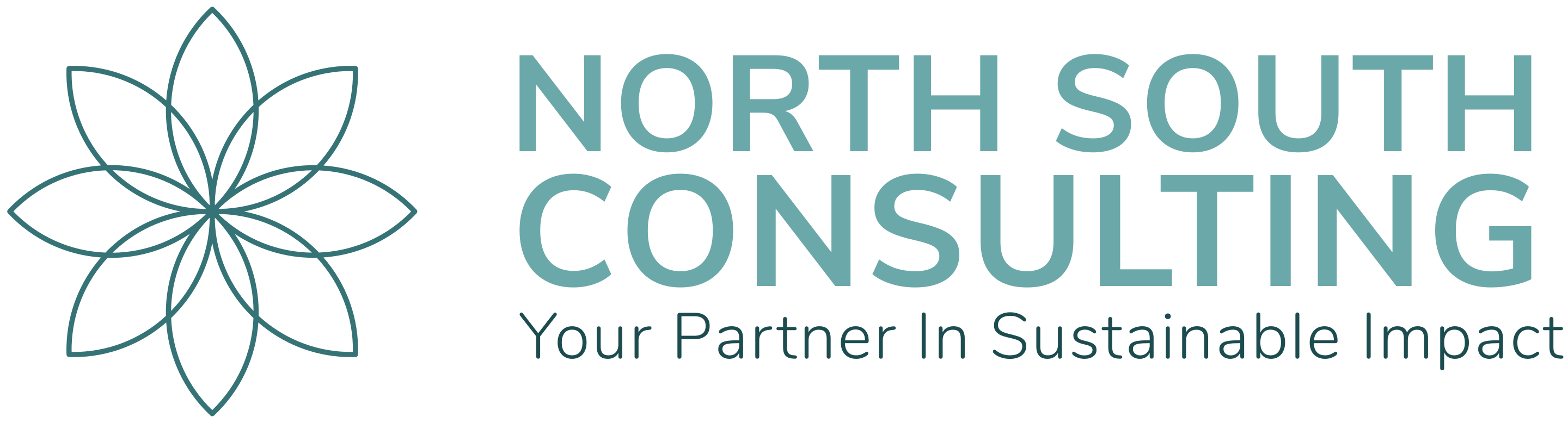 North South Consulting